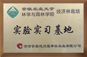 安农大实验实习好色网址
