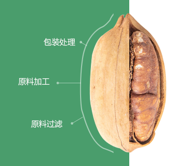 碧根果好色先生APP在线观看初加工