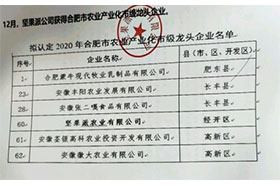 2020年合肥市农业产业化市级龙头好色先生污污视频下载